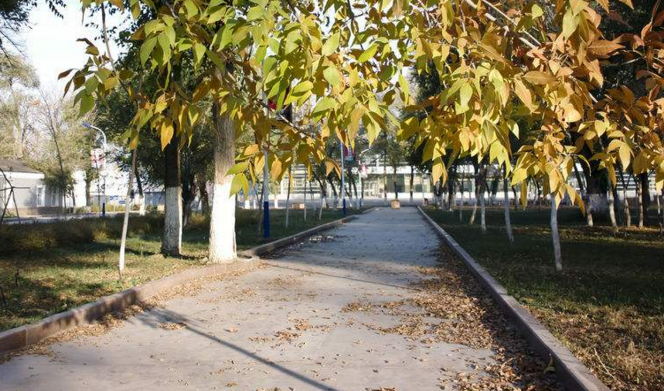 小區(qū)道路掃地機.png 小區(qū)道路掃地機.png