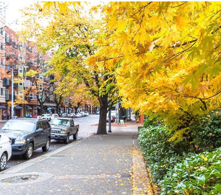 街道掃地機(jī)哪個(gè)品牌好.png 街道掃地機(jī)哪個(gè)品牌好.png